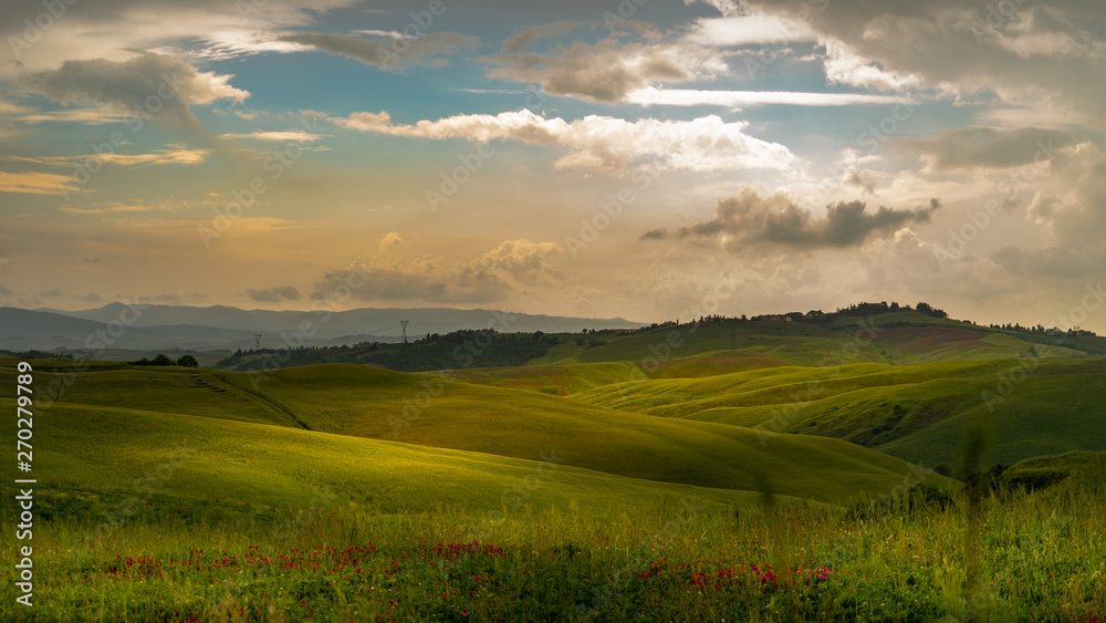 Fototapeta premium Tuscany landscape rolling hills on a sunny day
