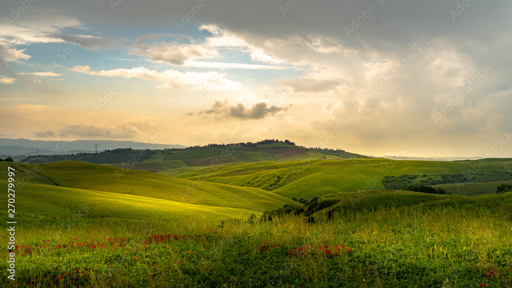 Obraz premium Tuscany landscape rolling hills on a sunny day
