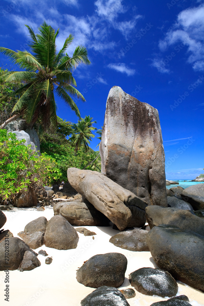 iconic stones on the sandy beach at Ile De Soris, The Island of Mahe, Seychelles with palm trees and blue sky iconic stones on the sandy beach at Ile De Soris, The Island of Mahe, Seychelles with palm trees and blue sky