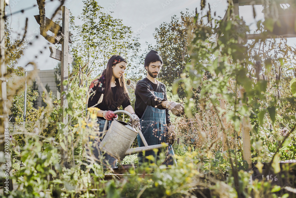 Couple gardening in urban garden together Couple gardening in urban garden together