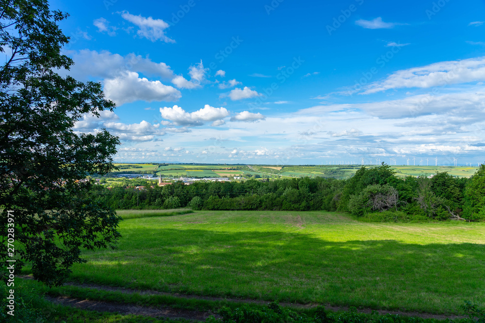 Cityscape of Kirchheimbolanden as panorama with distant view