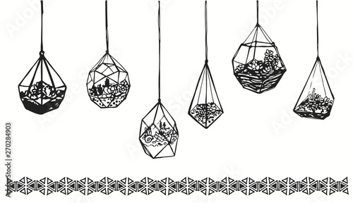 Drawing hanging glass terrariums with plants and succulents. Hand drawn wardian case and florariums sketch for interior or decoration.