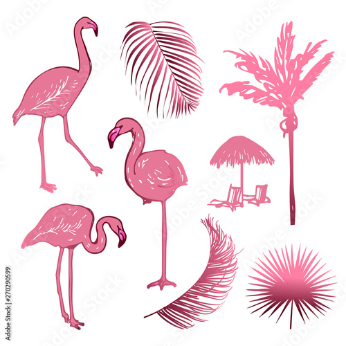 Hand drawing sketch of pink flamingo birds with leaves and palm. Exotic tropical collection isolated on the white background.
