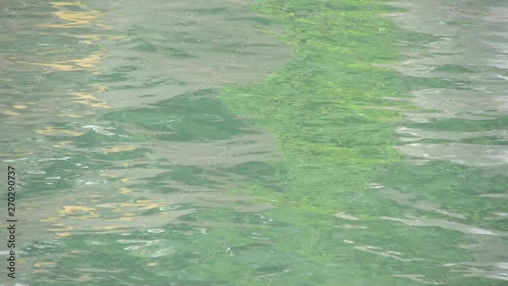 Green water reflection of Ljubljana river. Green water reflection of Ljubljana river.