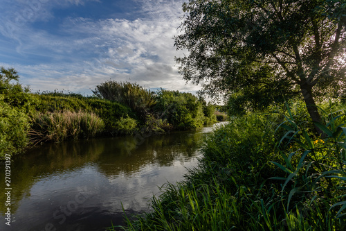 Canal pool of nature in sunlight