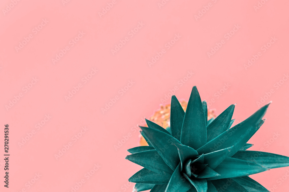 Pineapple tropical fruit on pink pastel background Pineapple tropical fruit on pink pastel background