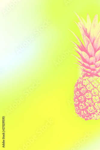 Summer tropical fruit composition © photopixel