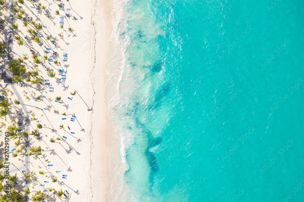 Aerial view from drone on caribbean seashore with coconut palm trees and sunbeds. Summer holidays
