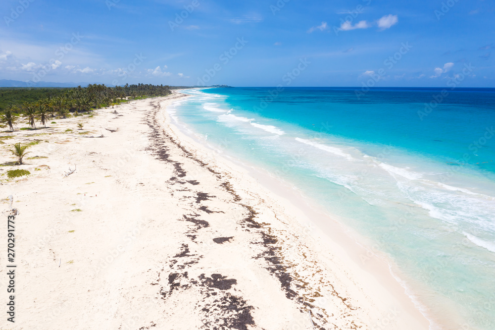Aerial view from drone on tropical island with coconut palm trees and turquoise caribbean sea Aerial view from drone on tropical island with coconut palm trees and turquoise caribbean sea