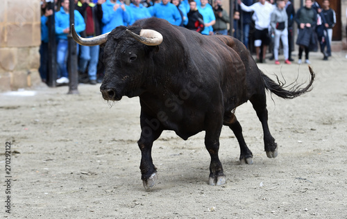 toro español