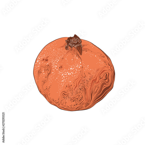 Hand drawn sketch of garnet in color. Isolated on white background. Drawing for posters, decoration and print. Vector illustration