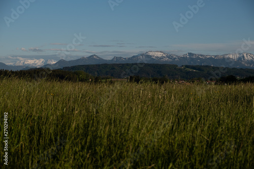 Wiese vor den Alpen  Langzeitbelichtung