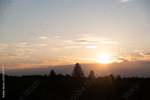 Sonnenuntergang   ber Wald