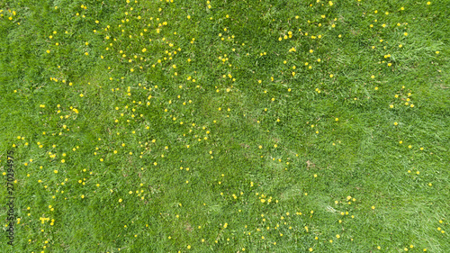 Aerial view of a summer field with yellow flowers