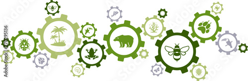 biodiversity icon concept – endangered species & wildlife icons, vector illustration photo