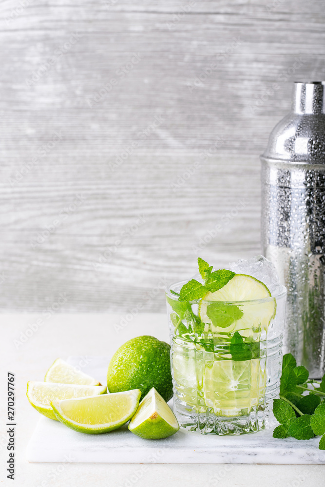 Home made mojito cocktail Home made mojito cocktail