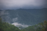 mountain range with many trees and clouds