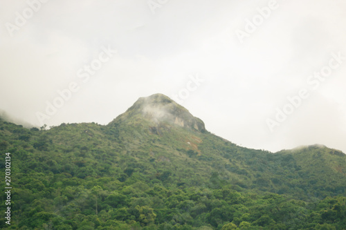 mountain range with many trees and clouds