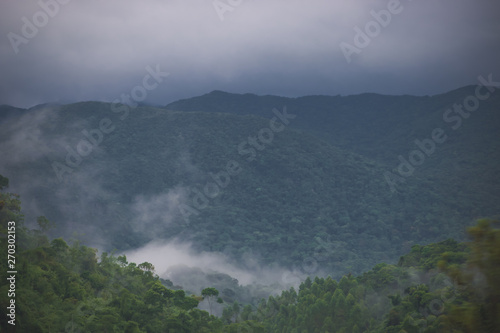 mountain range with many trees and clouds