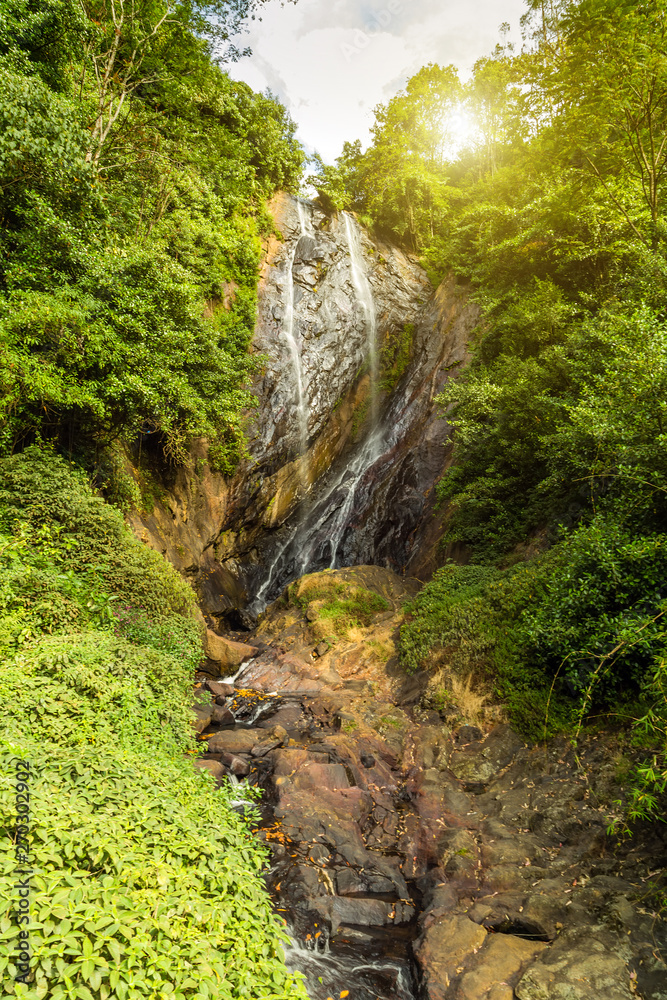 rocky mountains clear water deep forest waterfall rocky mountains clear water deep forest waterfall