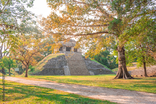 The ancient pyramids of Palenque, a Mayan Archaeological Site in Chiapas, Mexico