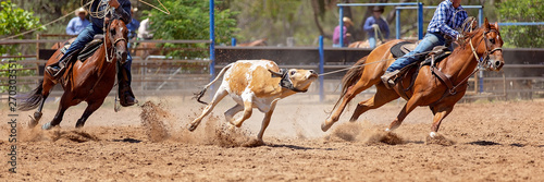 Billede på lærred Calf Roping Competition At An Australian Rodeo