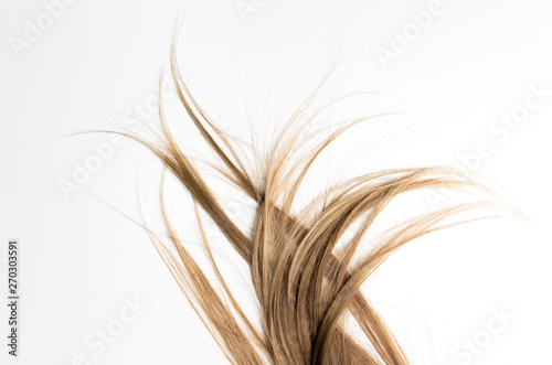 Piece of brown hair isolated on white isolated background. Hairstyle  hair care