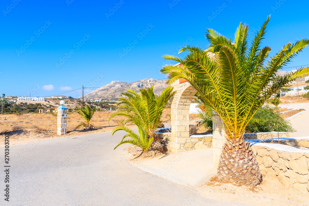 Coastal road with palm trees along beautiful sea at Ammopi beach, Karpathos island, Greece Coastal road with palm trees along beautiful sea at Ammopi beach, Karpathos island, Greece