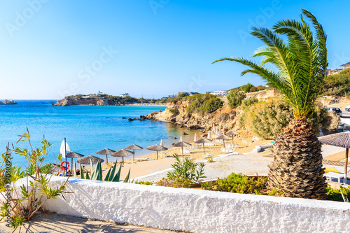 Palm tree and beautiful Ammopi beach  Karpathos island  Greece