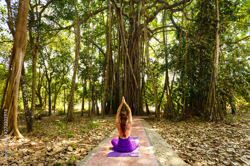 Meditation, calm, relaxation. Meditation, calm, relaxation. A woman practices yoga on the background of a large tree. Banyan tree