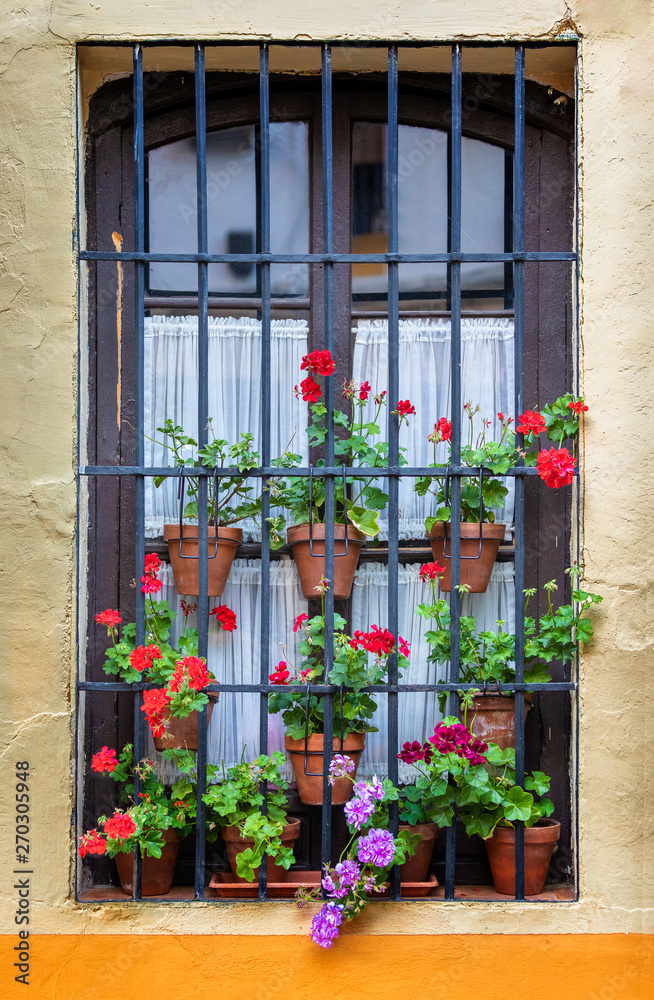 Typical Andalusian window with bars and clay flowerpots
