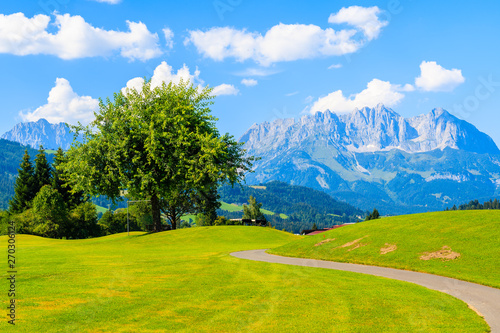 Green golf course area against mountains background on sunny summer day  Kitzbuhel  Tyrol  Austria