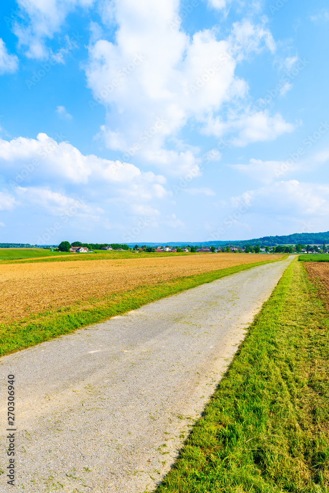 Obraz premium Rural road and green fields in spring landscape of Burgerland near Strem village, Austria
