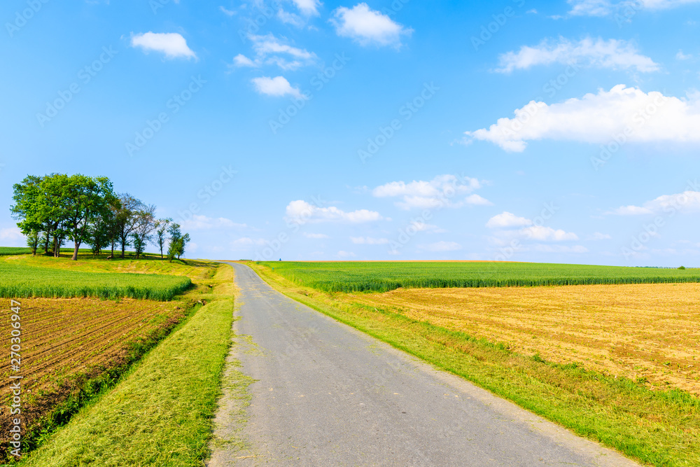 Rural road and green fields in spring landscape of Burgerland near Strem village, Austria Rural road and green fields in spring landscape of Burgerland near Strem village, Austria