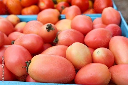 fresh tomatoes at the market