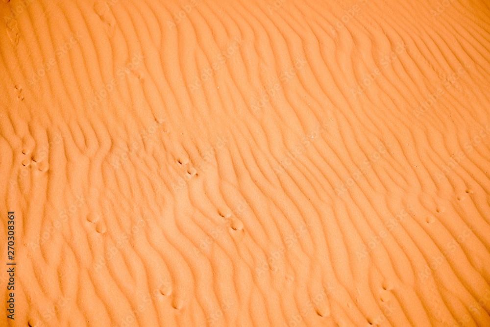 ripples in the sand, Red sand in the Sahara, Morocco, Africa ripples in the sand, Red sand in the Sahara, Morocco, Africa