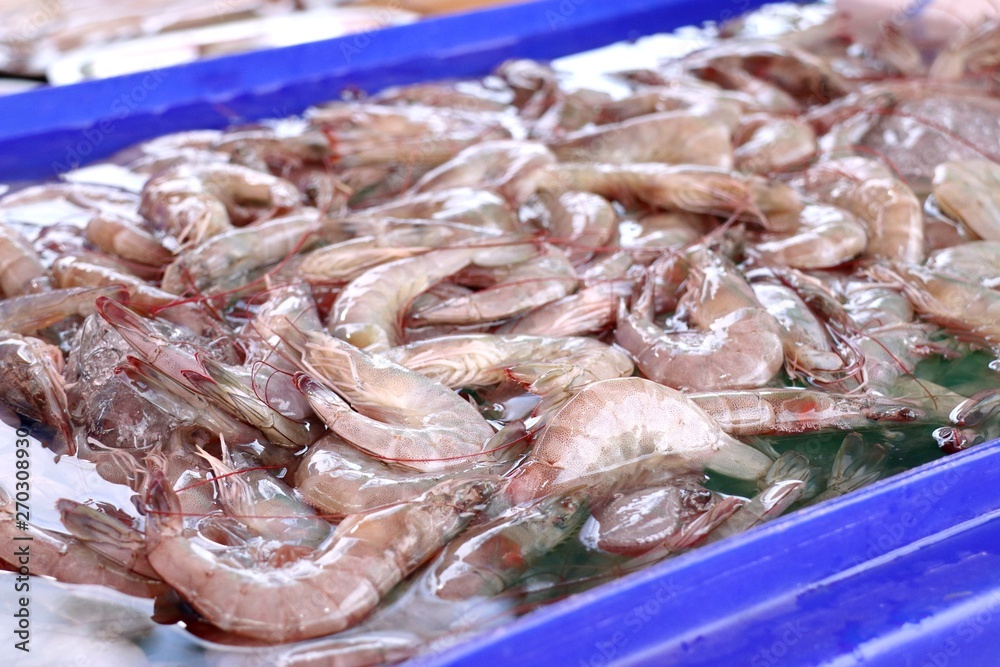 fresh shrimp at street food fresh shrimp at street food