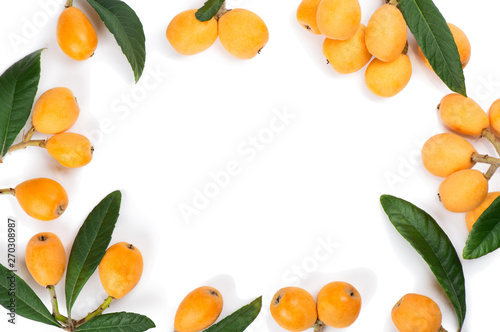 Φωτογραφία The loquat with leaf top view.