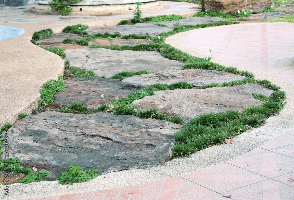 Stone path in green grass Stone path in green grass