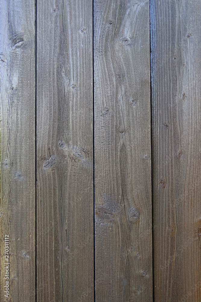 Obraz premium Wooden Texture 9