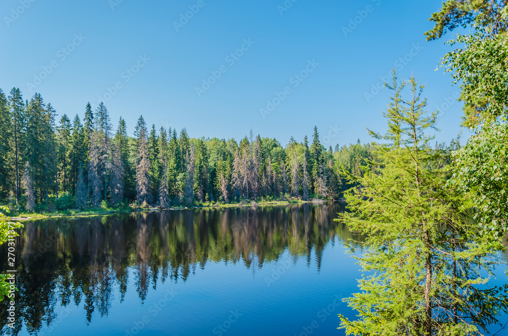 The amazing nature of the island of Valaam. Spectacular landscape in summer sunny day. Karelia. Russia.