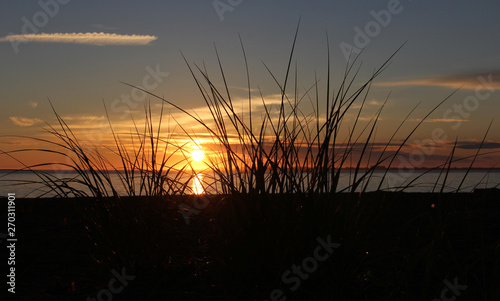 Sunset near ocean horizon through sea grass