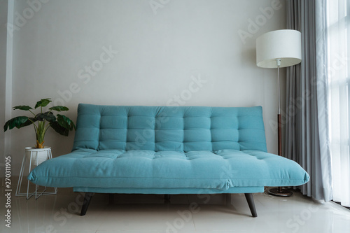 soft color sofa in a clean family room © Odua Images