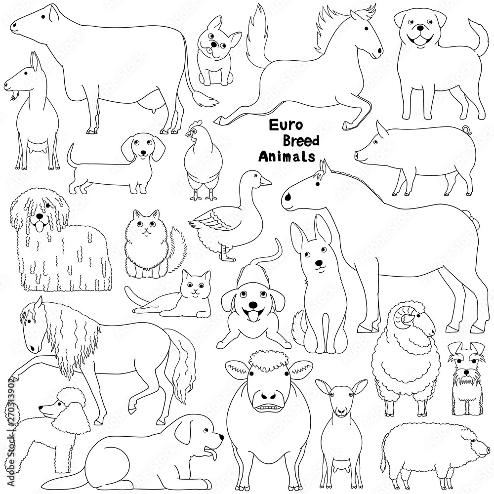 doodle of european breed domestic animals doodle of european breed domestic animals