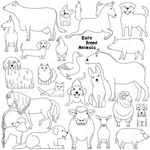 doodle of european breed domestic animals
