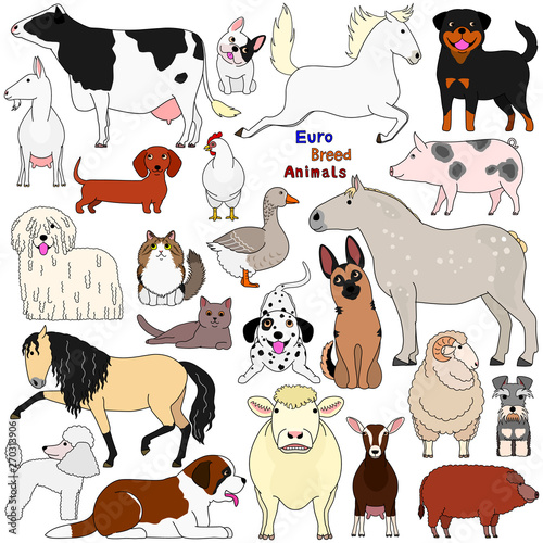 doodle of european breed domestic animals