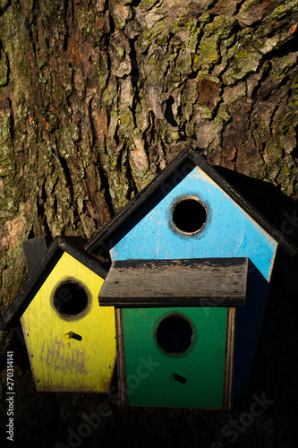 Colorful wooden birdhouse © EJRodriquez