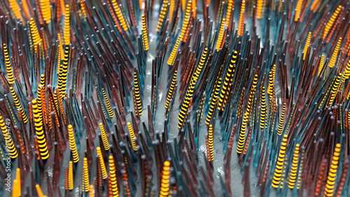 Fiber optics in cyberspace ...