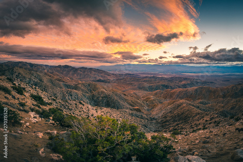 Keys View Joshua Tree
