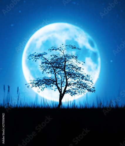 Tree in grass field at night against the Moon,3d rendering © Joelee Creative